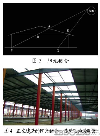 透明瓦用于猪场的好处